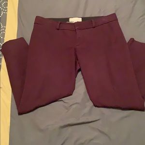 Maroon crop pant